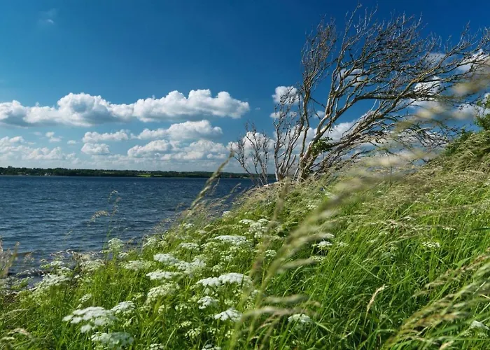 度假居 Nurdachhaus 达普